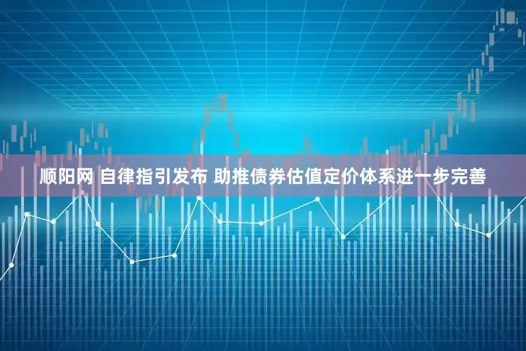 顺阳网 自律指引发布 助推债券估值定价体系进一步完善