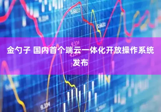 金勺子 国内首个端云一体化开放操作系统发布